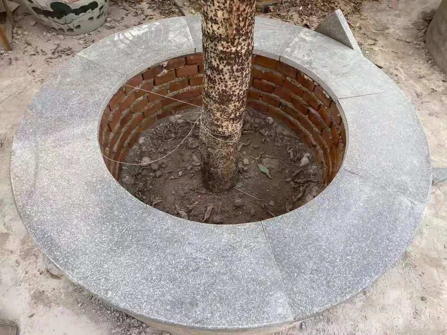 章丘黑圆形树池石